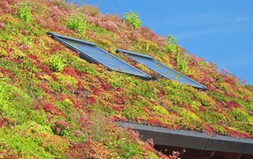 Felkirk living roof systems