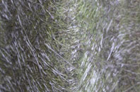 Felkirk fibreglass roof work